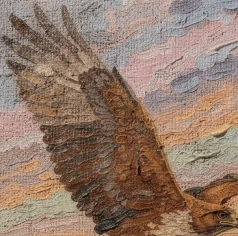 Hawk